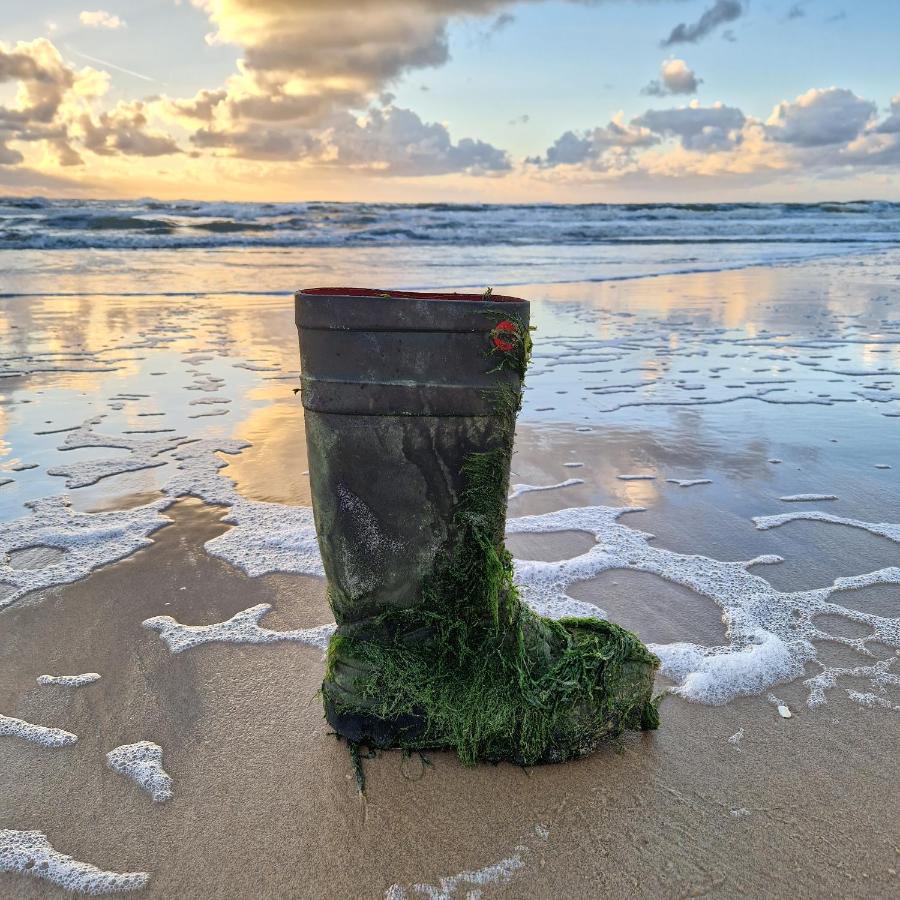 Vakantiehuis Nordseeperle Nordholland, Mit Klimaanlage Und Sauna Dirkshorn